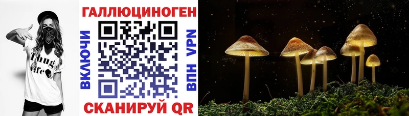 Купить закладки  Шагонар  Галлюциногенные грибы прущие грибы 
